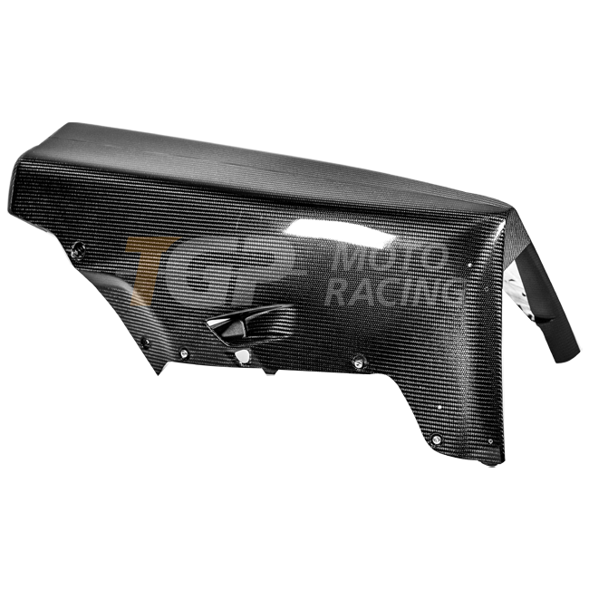 Bugspoiler 200g Carbon AP Carbon Line Ducati Panigale V4 R (2026)