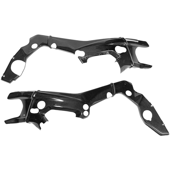 Karbon poklopac okvira LighTech BMW S1000RR K67 (19-26) CARB1950 