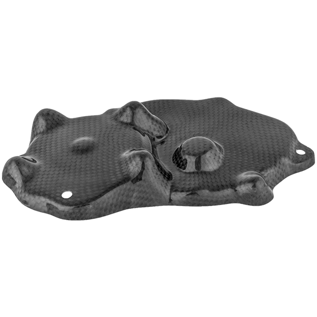 Pokrov za pick-up od karbona LighTech Kawasaki ZX-6R/636/RR (09-26) CARK9518 