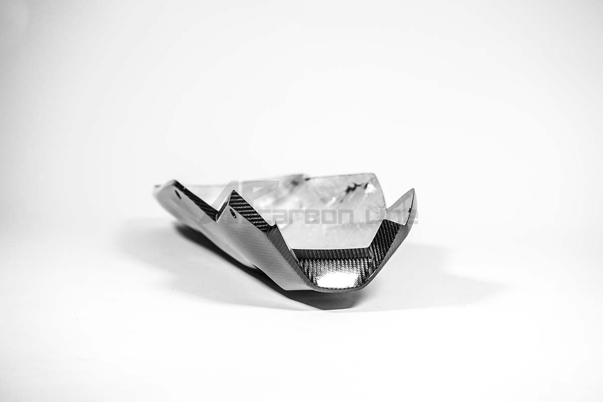 Bugspoiler 200g AP Carbon Line Aprilia RSV4/RR/1100 Factory (21-26) 