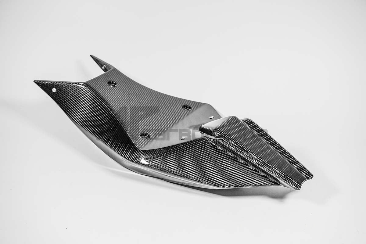 Hecknaša 200g AP Carbon Line Aprilia RSV4/RR/1100 Factory (21-25) 