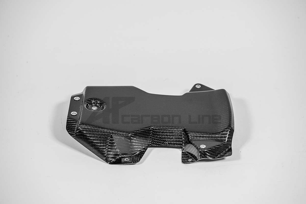 Hecknaša 200g AP Carbon Line Aprilia RSV4/RR/1100 Factory (21-25) 