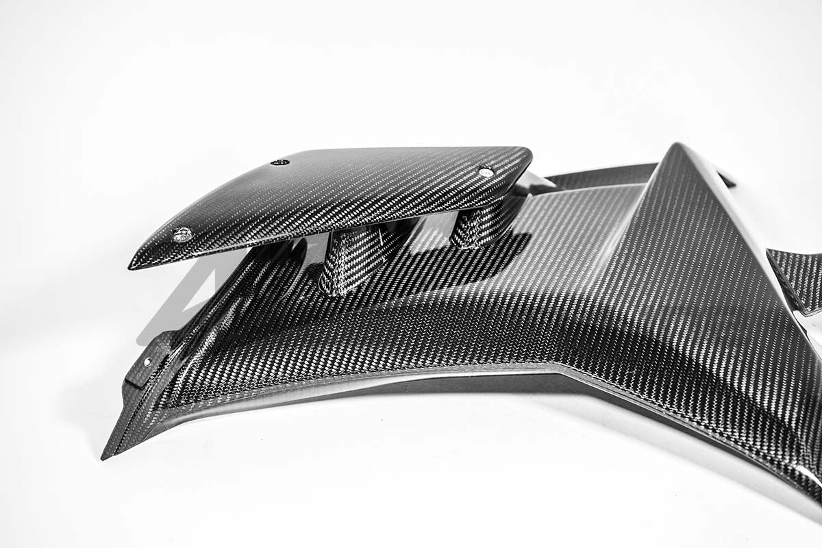 Lijevi bočni dio 200g AP Carbon Line Aprilia RSV4/RR/1100 Factory (21-26) 