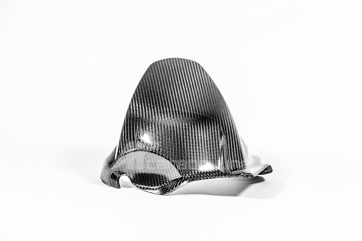 Stražnji blatobran 200g AP Carbon Line Ducati Panigale V4/S/R (25-26) 