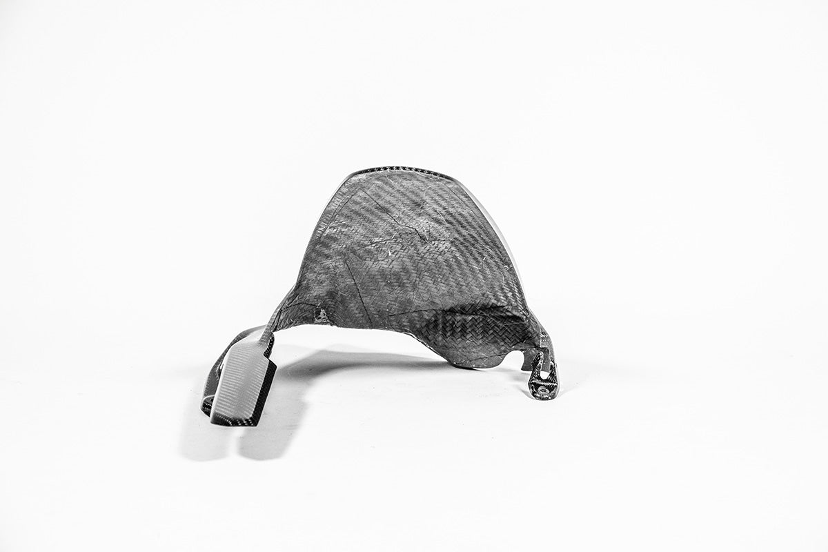 Stražnji blatobran 200g AP Carbon Line Ducati Panigale V4/S/R (25-26) 