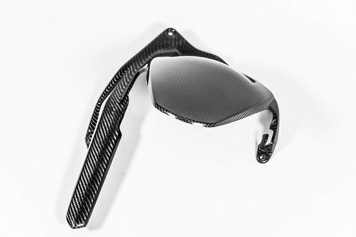 Stražnji blatobran 200g AP Carbon Line Ducati Panigale V4/S/R (25-26) 
