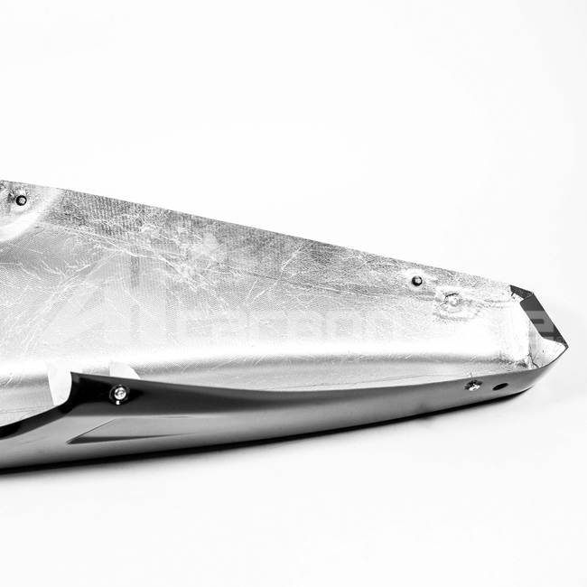 Bugspoiler Lavatex AP Carbon Line Ducati Panigale V4/S (25-26) 