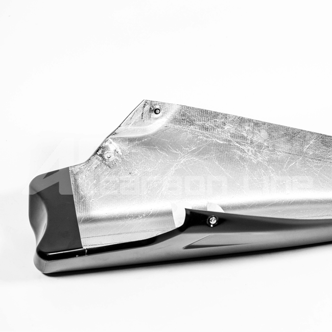 Bugspoiler Lavatex AP Carbon Line Ducati Panigale V4/S (25-26) 