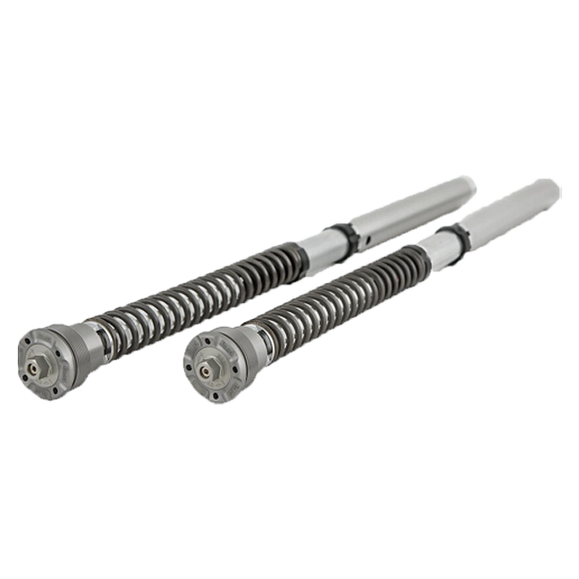 Öhlins NIX 30 Cartridge Kit FGK 229 Ducati Panigale V4 (18-24) 