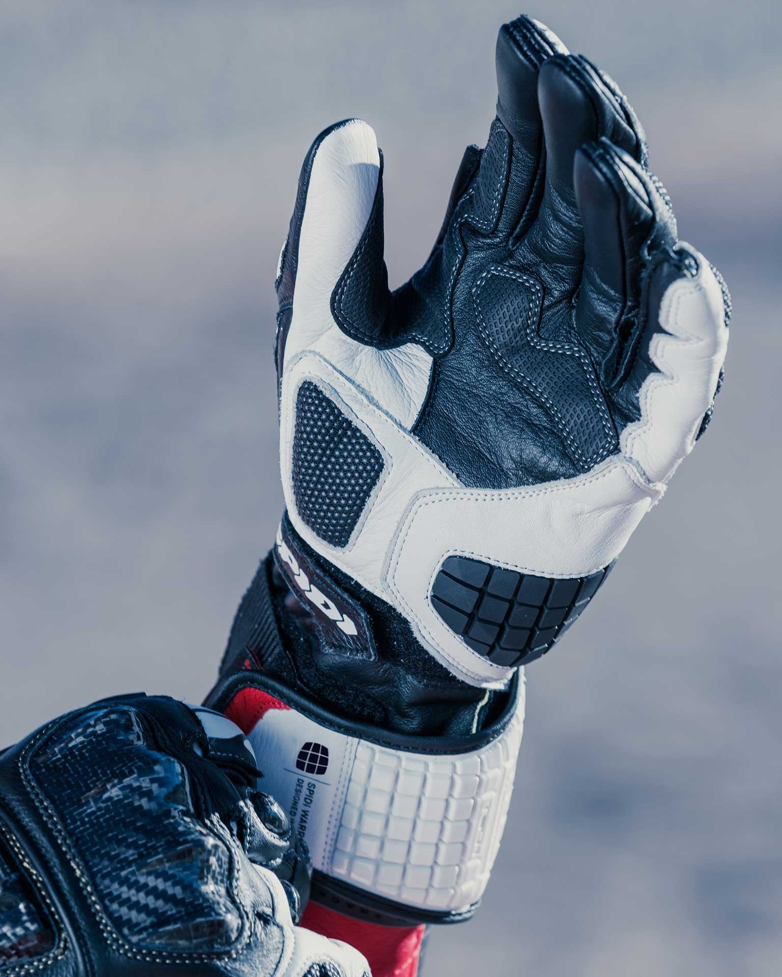Spidi Carbo Track Evo Racing moto kožne rukavice | Muške | Crna/Bijela | A203011 