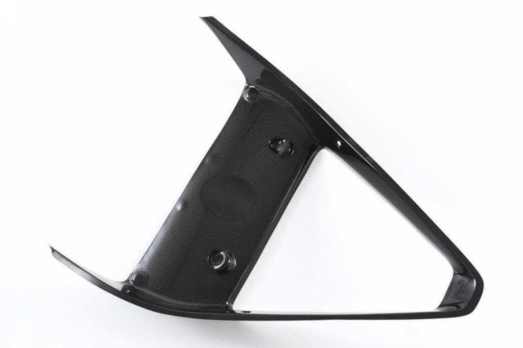 Karbon zaštita hladnjaka Fullsix Ducati Panigale 959 (16-19) 