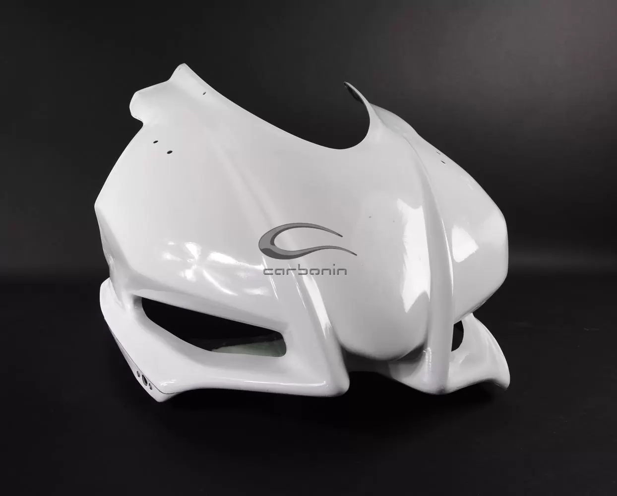 Kompletna obloga Avio Fiber za Aprilia RSV4/RR/RF/1100 Factory (15-20) Carbonin 