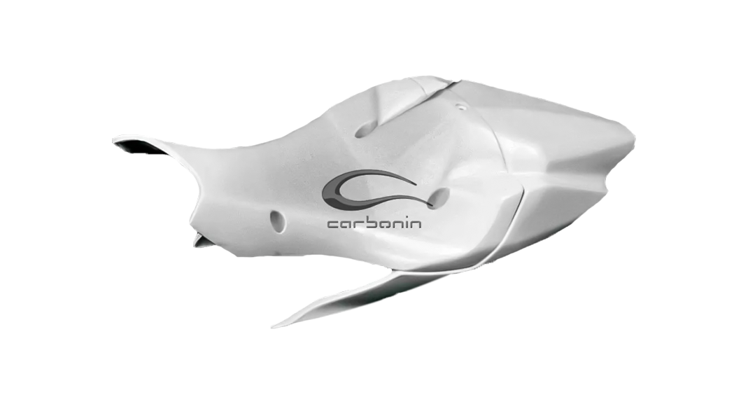 Kompletan set obloge Avio Fiber Kawasaki ZX-10 R/RR (16-20) Carbonin 